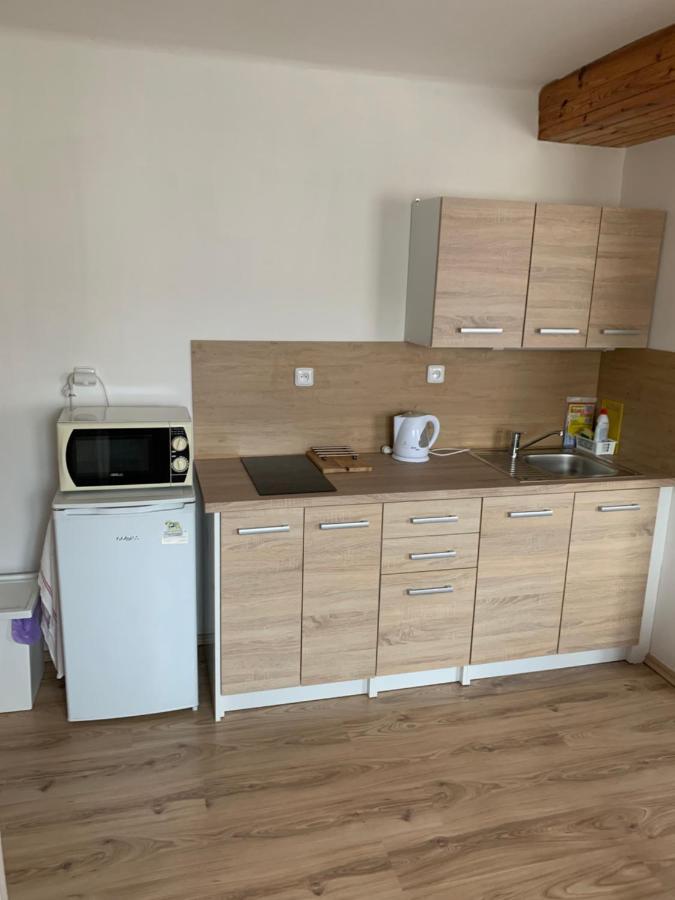 Privat Zelezny Brod 아파트 외부 사진